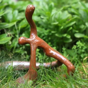 Desde la tierra.  Baila su libertad.